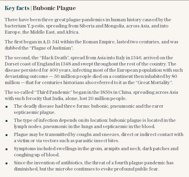 Key facts | Bubonic Plague