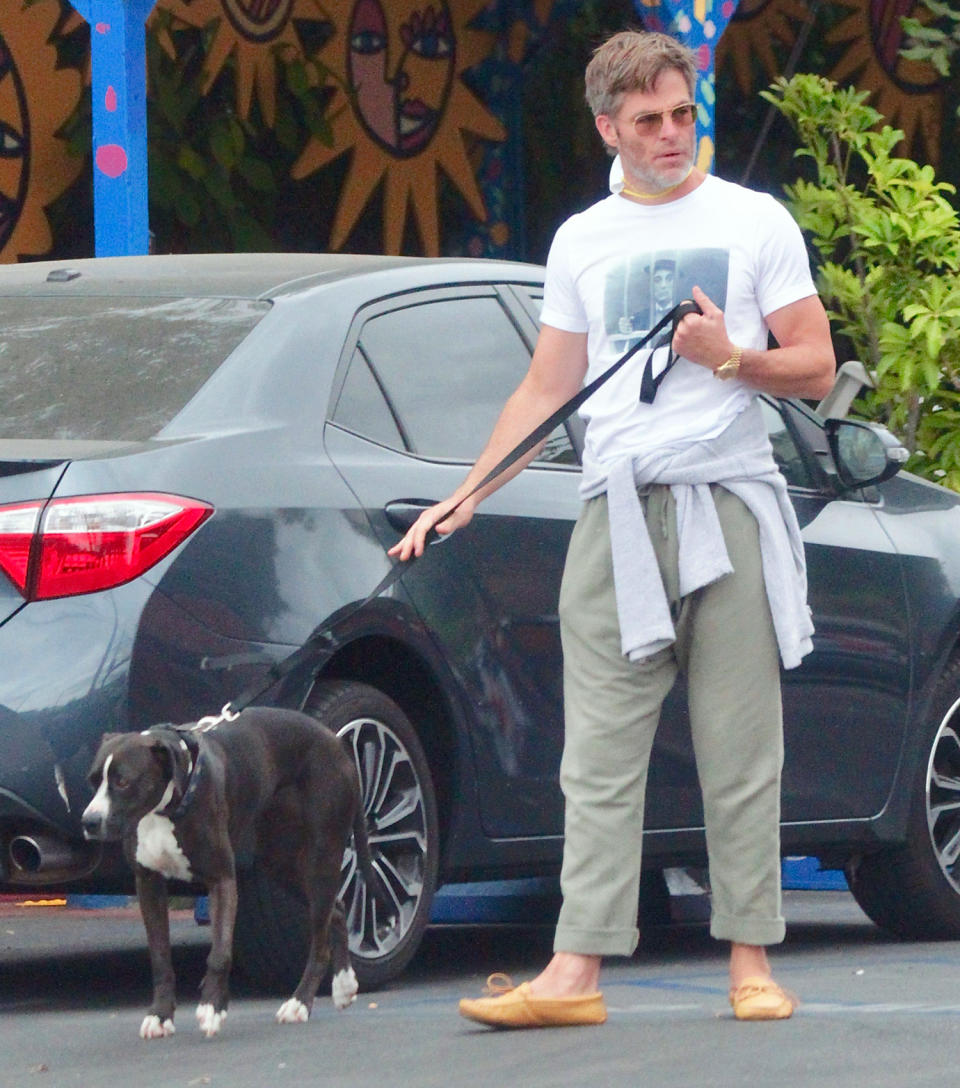 <p>Chris Pine takes his dog out for a walk in L.A. on Sunday, wearing green trousers and tan moccasins.</p>