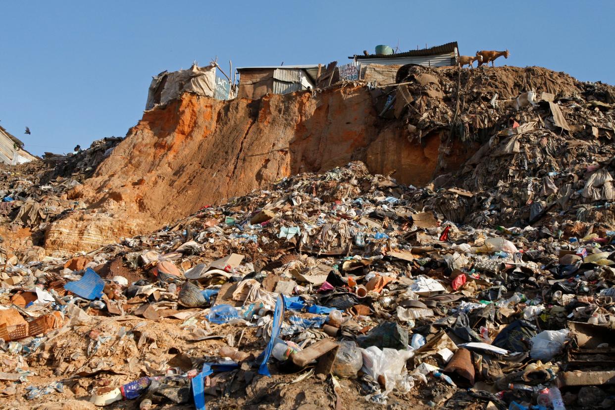 Goats are seen near shacks in the slum area of Boa Vista in Luanda, Angola, on Dec. 15, 2009.