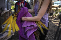 Alexis Highland handles a parrot that is being evacuated from the Malama Manu Sanctuary in Pine Island, Fla., Tuesday, Oct. 4, 2022. Hundreds of birds had to be rescued from the sanctuary after Hurricane Ian swept through the area. (AP Photo/Robert Bumsted)