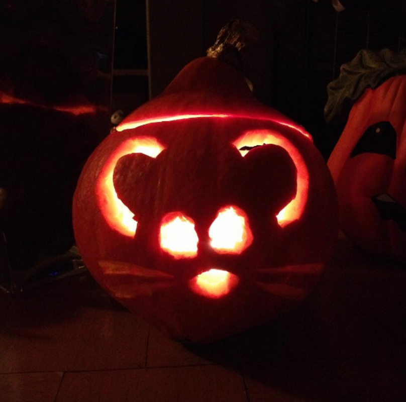 <p>@Mllexlo</p><p>This mouse design on this jack-o'-lantern is a great one to carve with kids since it's a more straightforward design idea!<br><br><strong>Related: <a href="https://www.yahoo.com/lifestyle/30-best-pumpkin-faces-carve-160000199.html" data-ylk="slk:30 Best Pumpkin Faces To Carve for Halloween and Add Some Spooky Fun to Your Decor;elm:context_link;itc:0;sec:content-canvas;outcm:mb_qualified_link;_E:mb_qualified_link;ct:story;" class="link  yahoo-link">30 Best Pumpkin Faces To Carve for Halloween and Add Some Spooky Fun to Your Decor</a></strong></p>