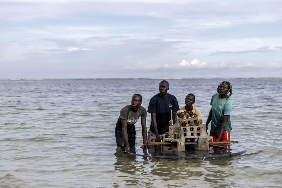 Members of the coral restoration project take the concrete blocks with coral on out to sea at the Kuruwitu Conservation Area in Kilifi, Kenya, Thursday, Nov. 2, 2023. (Luis Tato/Pool Photo via AP)