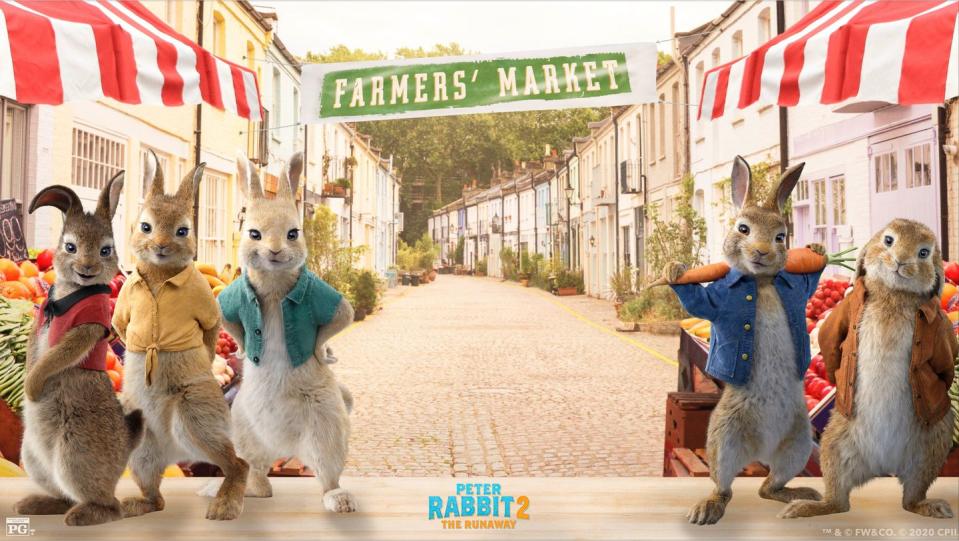 'Peter Rabbit 2' Zoom Background