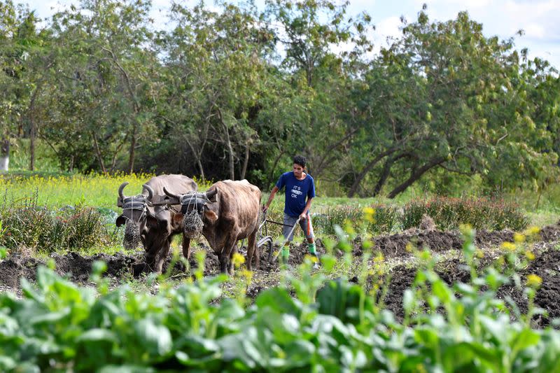 Members of the National Association of State Departments of Agriculture (NASDA) visit Cuba