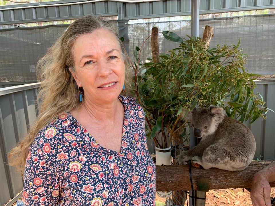 Toni Doherty has been praised for her quick actions in trying to save the koala. Source: Yahoo/Michael Dahlstrom