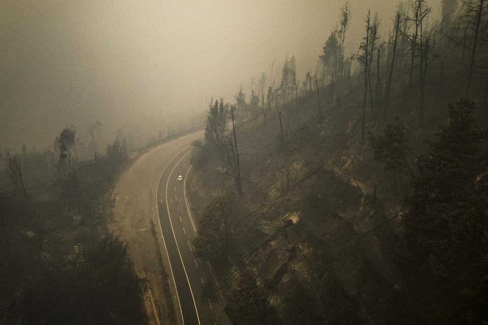 Un automóvil pasa al lado de árboles destruidos por los incendios en Santa Juana, Chile, el domingo 5 de febrero de 2023. Los incendios se han extendido en el sur y centro de Chile, provocando evacuaciones y la declaración del estado de emergencia en varias regiones. El miércoles 8 de febrero de 2023 aún había 85 incendios descontrolados tras una semana de lucha contra el fuego. (AP Foto/Matias Delacroix)