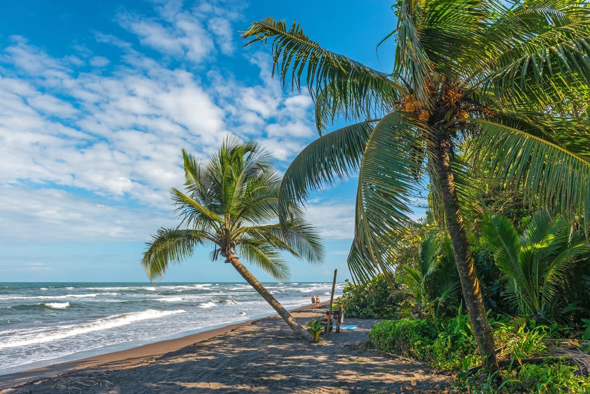 People walking along the tropical rainforest beach in Tortuguero with beautiful palm trees and turquoise water, Costa Rica, Central America (Getty Images)