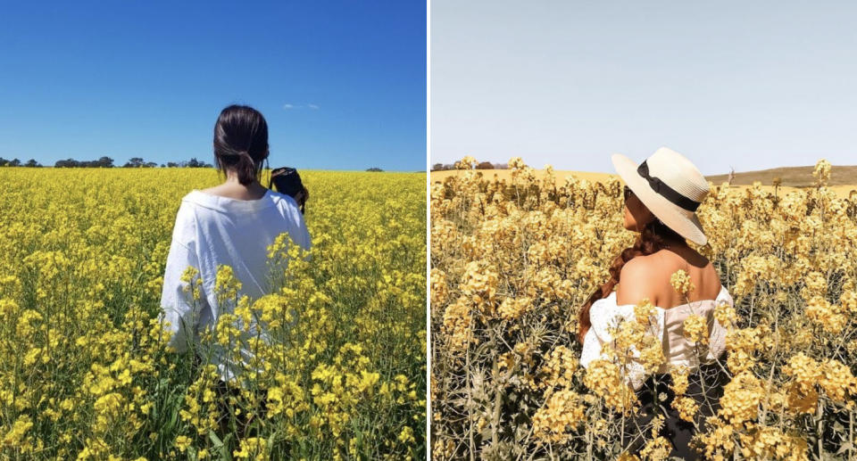 Women pictured in canola fields.