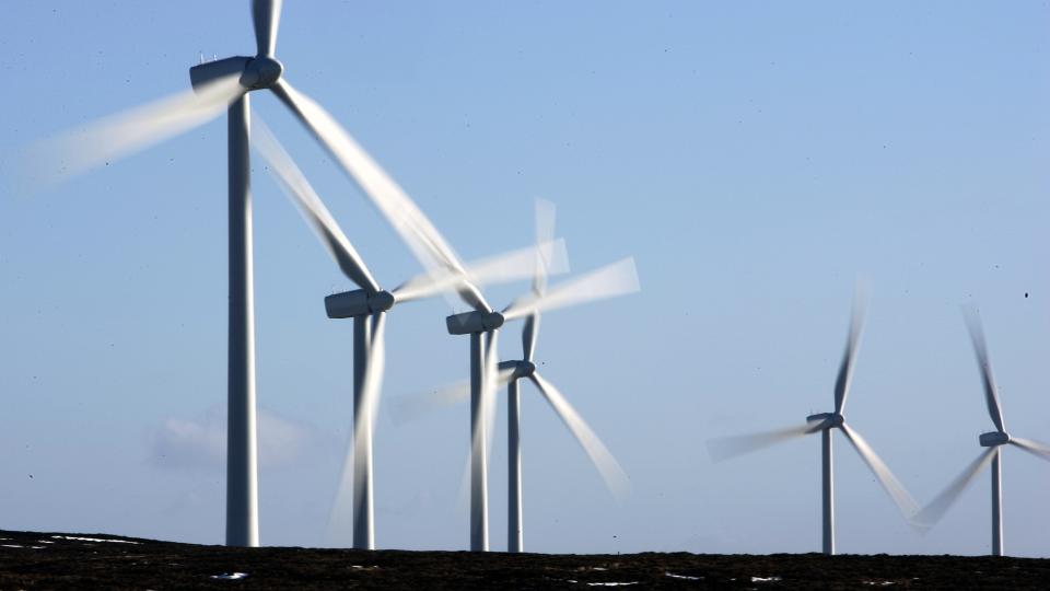 <p>WWF Scotland said the figures clearly show that wind is working.</p>