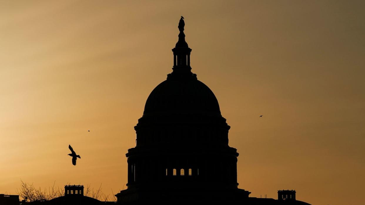 Die Kuppel des US-Kapitols in Washington, Sitz von Senat und Repräsentantenhaus.