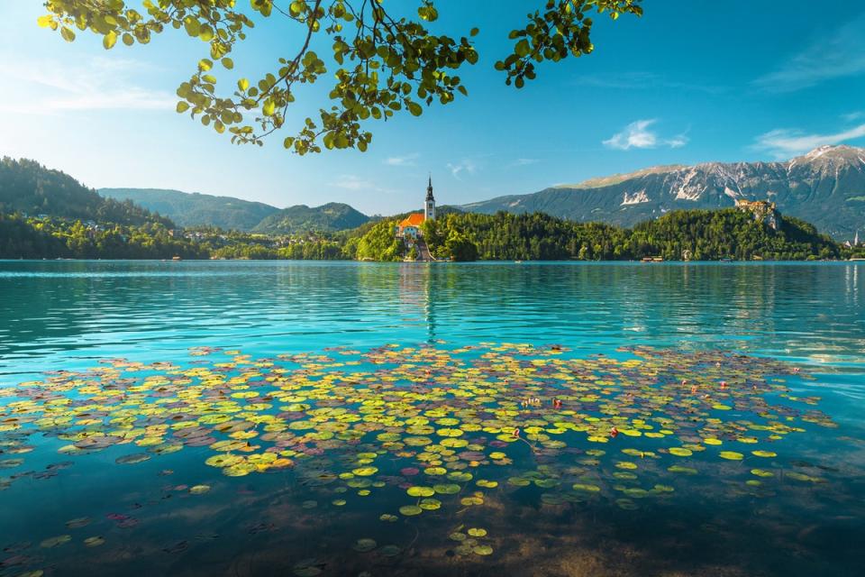 Wine and dine on the magical shores of Lake Bled (Getty Images/iStockphoto)