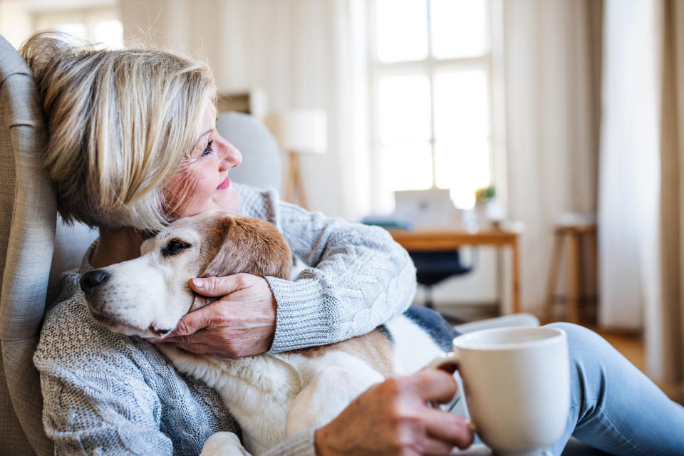 Is having a dog better for your cognitive health? (Image via Getty Images)