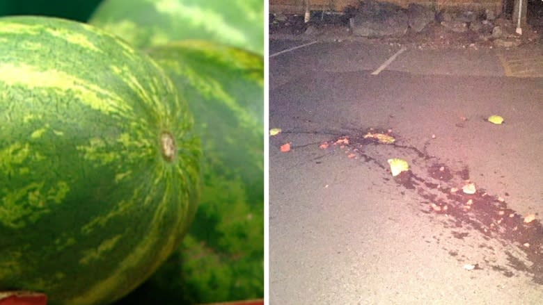 3 teens trying to swipe 4 watermelons in seedy theft get math lesson