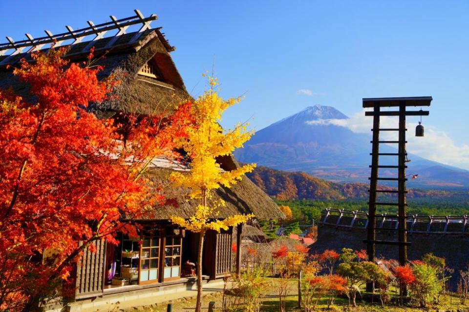 [Departure from Shinjuku]    El mejor recorrido por el Monte Fuji en Japón: Parque Arakurayama Senjin, Fujiyoshida 