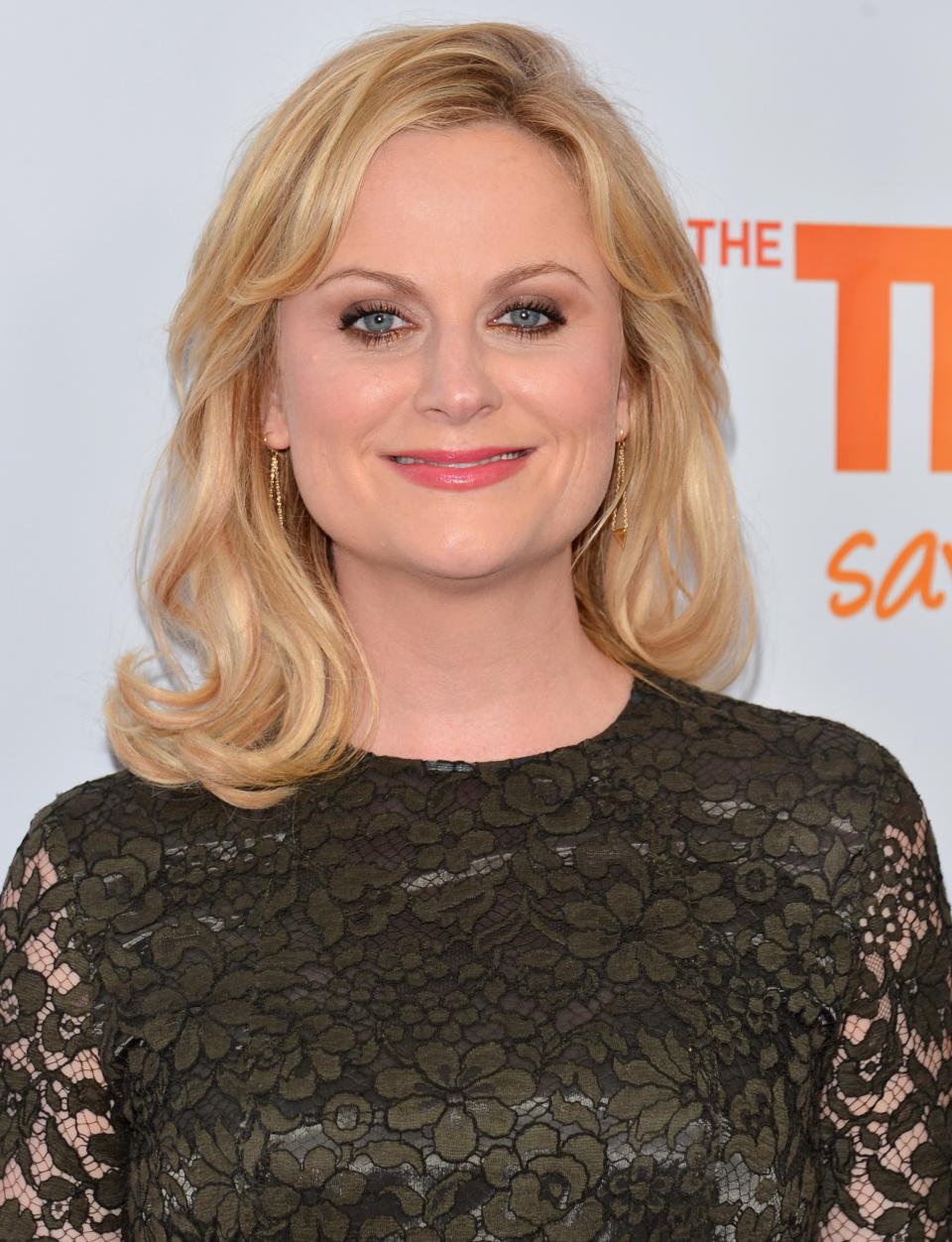 Amy Poehler - Best Performance by an Actress in a Television Series Comedy or Musical (Parks and Recreation)