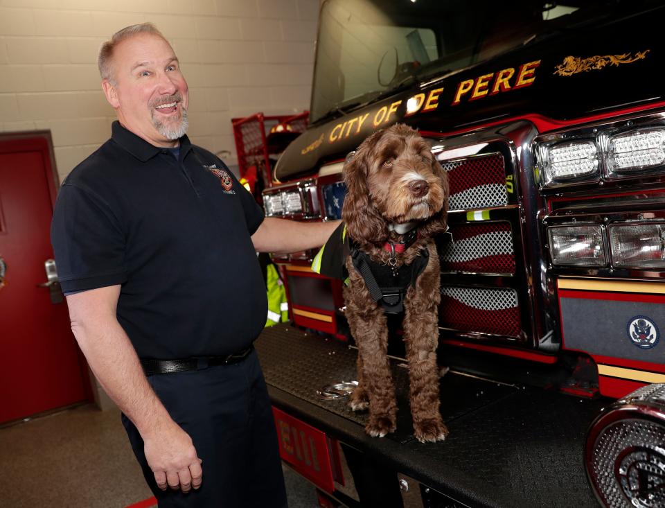 Chief Alan Matzke spends some time with De Pere Fire Rescue's therapy dog Stanley in the fire station. Stanley joined the department last April as a puppy.