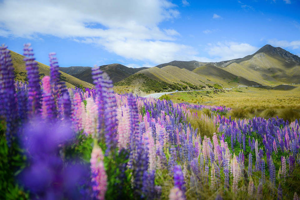 林迪斯山口（Image Source : Getty Creative）