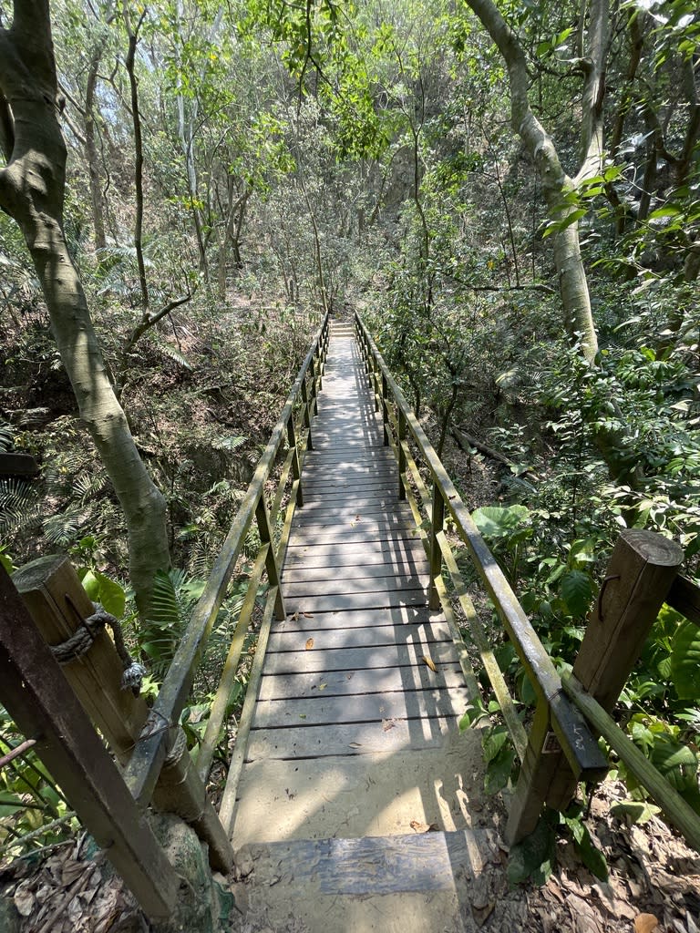 龍鳳谷森林步道（圖片來源：彰化旅遊資訊網）
