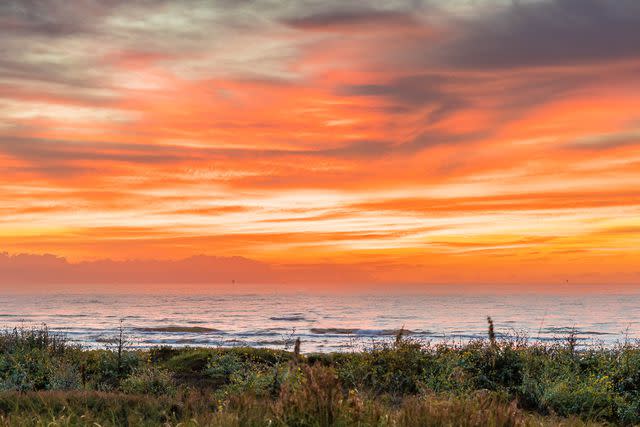 <p>Courtesy of Visit Port Aransas</p>