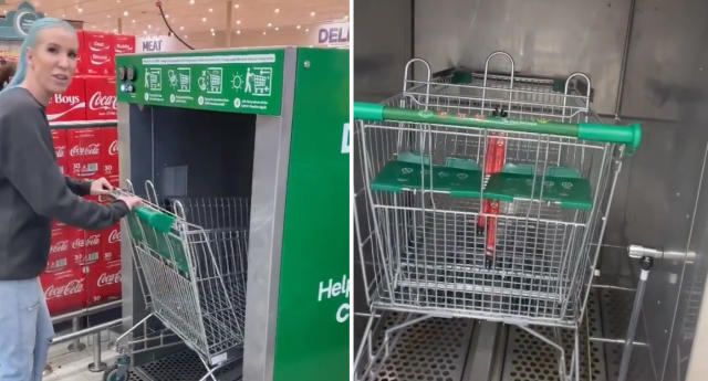 Love it': Shoppers react to new Woolworths trolley feature