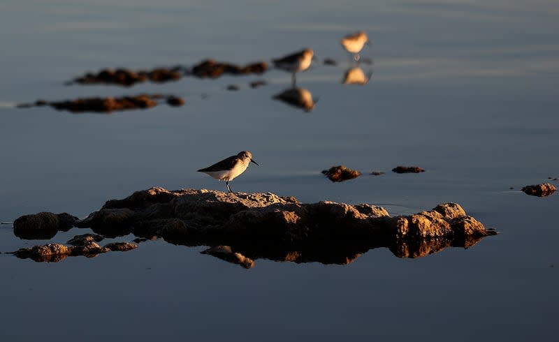 Salton Sea_KM_22598.JPG