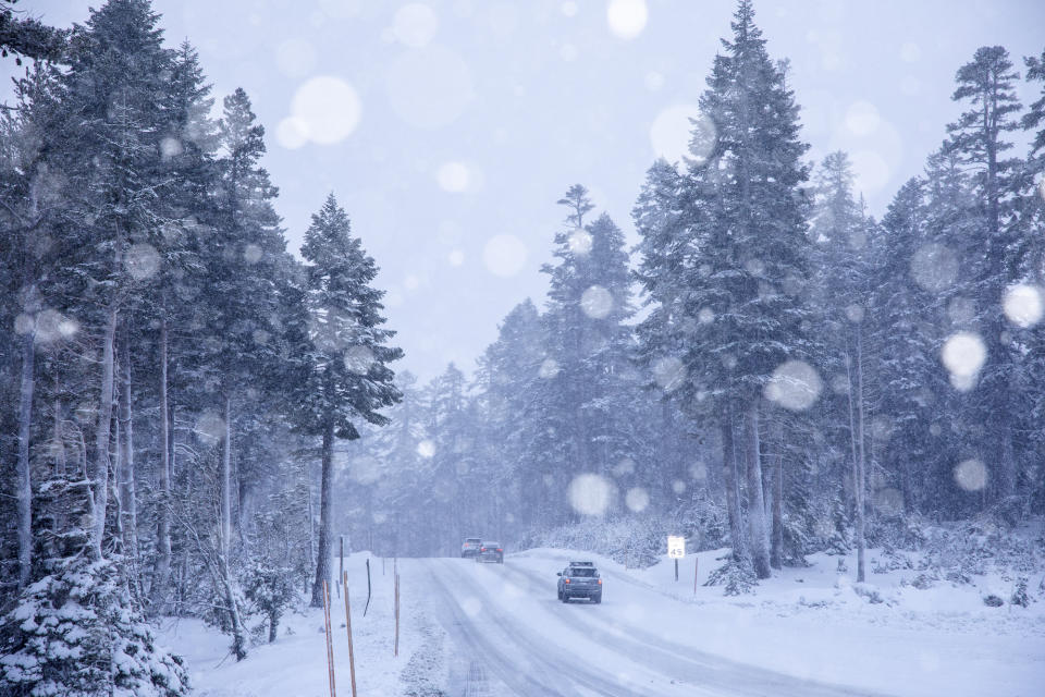 In this photo provided by Mammoth Lakes Tourism, cars make their way through the snow in Mammoth Lakes, Calif., Tuesday, Dec. 19, 2023. A foot of snow has fallen at the resort and all base areas are open. Forecasters are warning of potential flooding from excessive rainfall as a slow-moving Pacific storm blows into California. (Samantha Lindberg/Mammoth Lakes Tourism via AP)