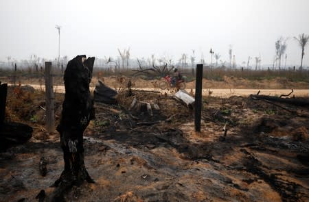 A tract of Amazon jungle is seen after a fire in Boca do Acre