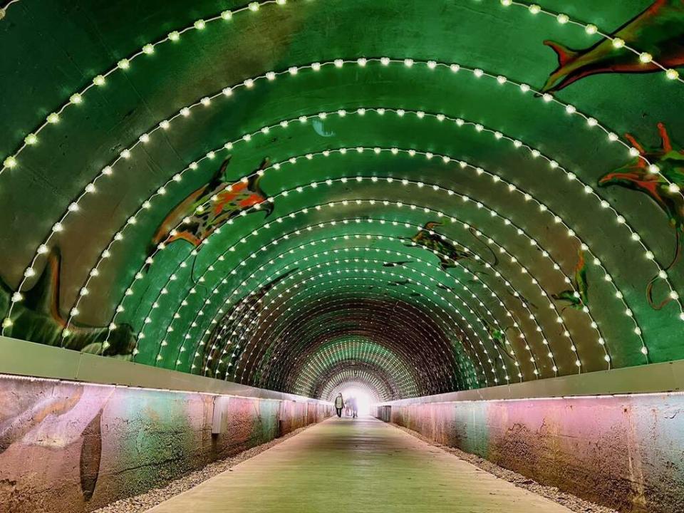 星空隧道（圖片來源：高雄旅遊網）