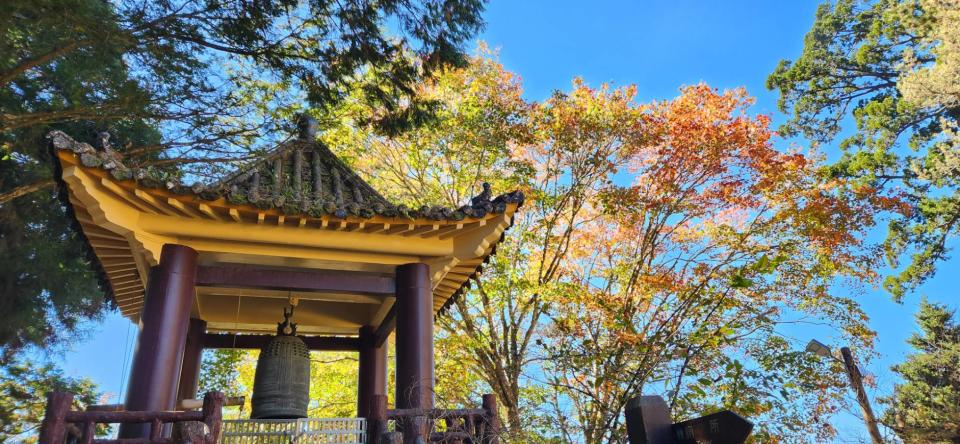 台灣旅遊│紅葉景點+一日遊優惠推介！武陵農場有齊楓葉+銀杏+落羽松、石門水庫楓林道、團費最平$120起