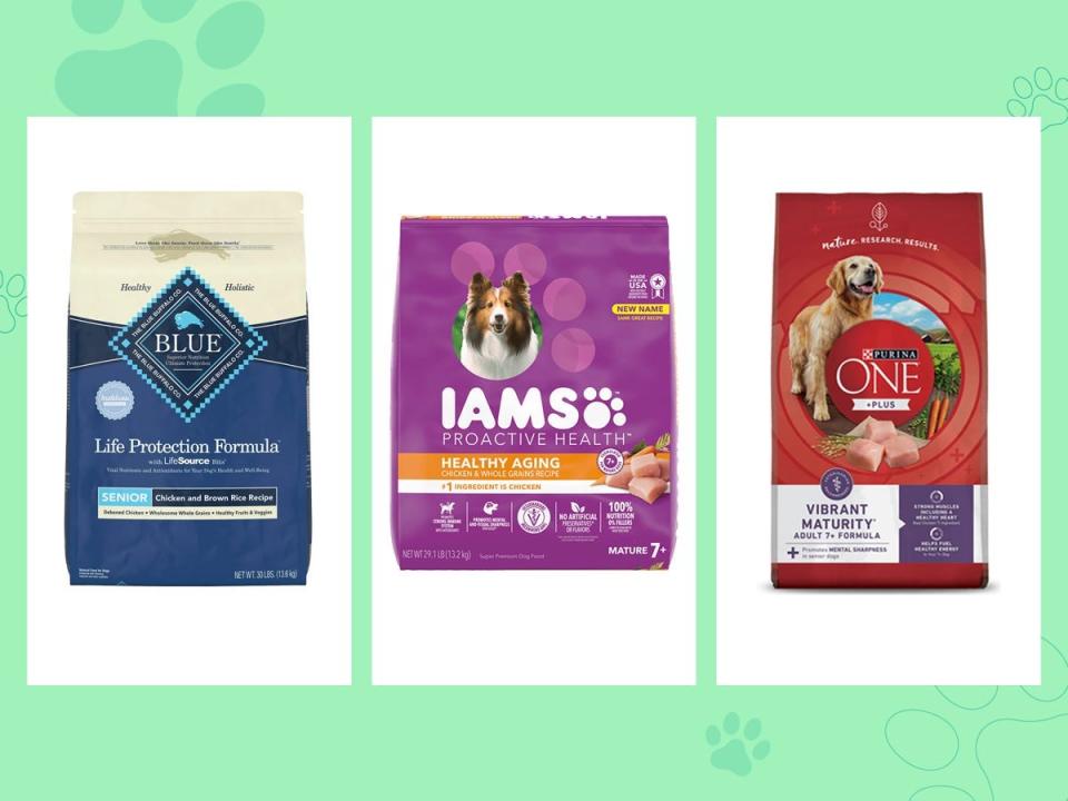 Three bags of dry senior dog food from Blue Buffalo, Iams, and Purina are on a green background.