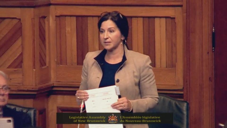 Fundy-The Isles-Saint John West PC MLA Andrea Anderson-Mason blasted a government bill, Bill 46, that she said contradicted the premier’s logic on revising Policy 713.