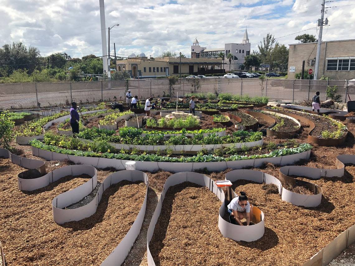 Germane Barnes designed an urban farm as part of “Made in Opa-Locka,” a multi-year project that revitalized Opa-Locka through art and architecture.