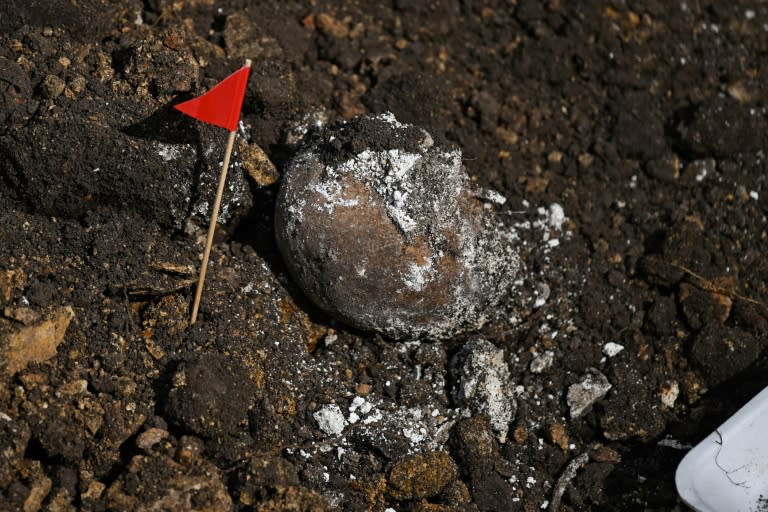 Un cráneo humano hallado durante excavaciones en busca de restos de personas detenidas y desaparecidas durante la última dictadura uruguaya (1973-1985), en una unidad militar en Toledo, 25 km al norte de Montevideo, el 7 de junio de 2023 (Pablo PORCIUNCULA)