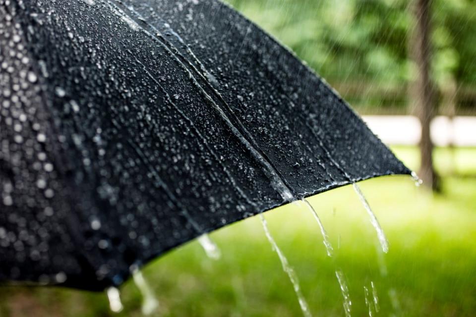 Black umbrella in rain