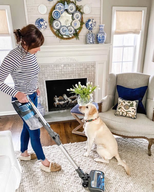 shark vertex cordless vacuum