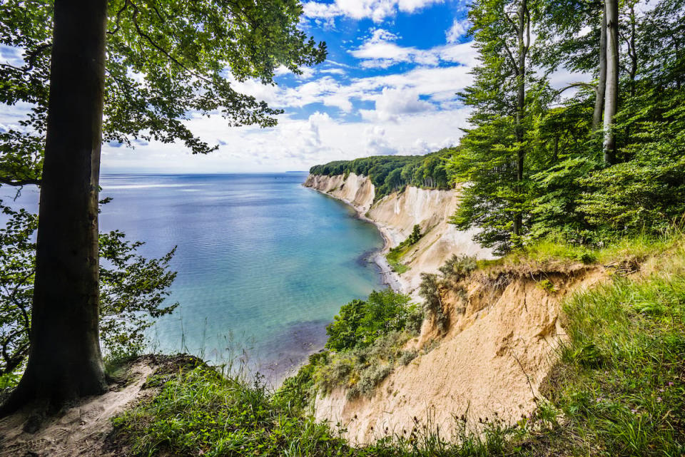 Der berühmte Kreidefelsen auf der Insel Rügen. - Copyright: Manfred Gottschalk / Getty Images