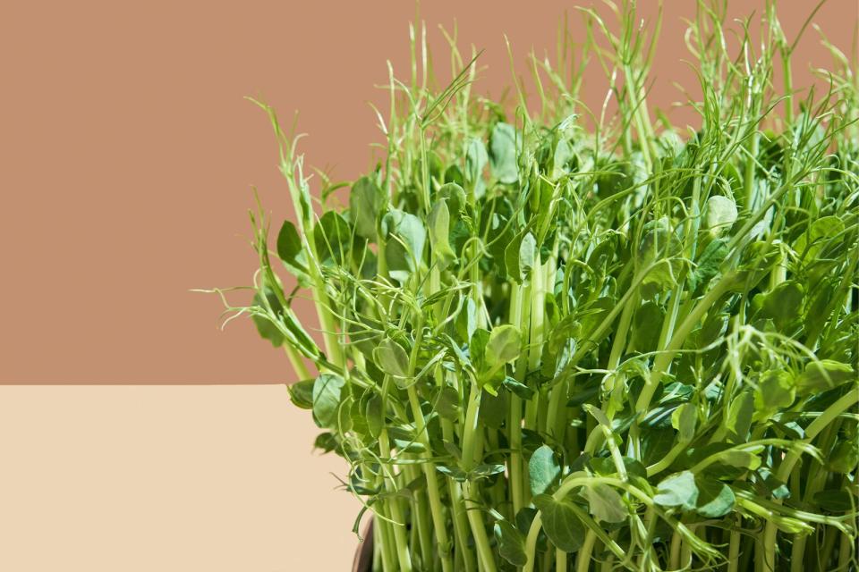 pea shoots