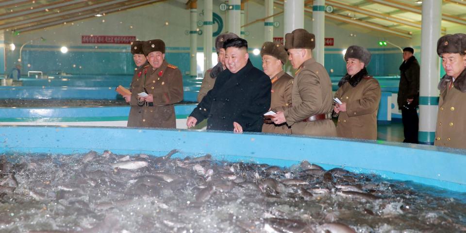 kim jong un fish farm