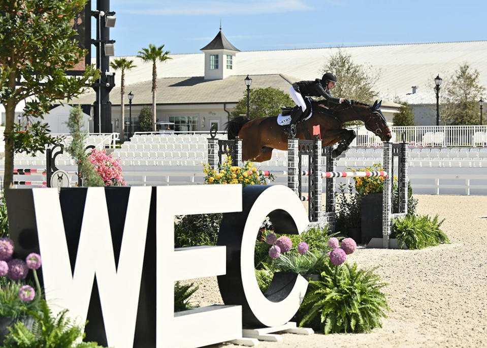 Show jumping at WEC