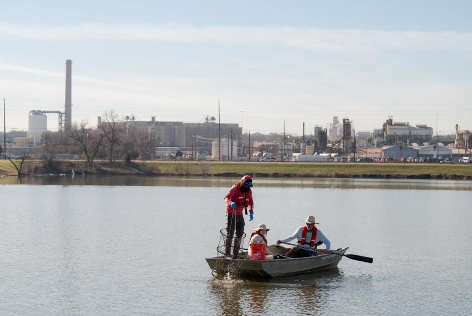 DALLAS, TX - JANUARY 30, 2024: From left to right, Jamie Morgan, 35, aquatic biologist at Jacobs Solutions, sets up a hoop net with environmental scientists of the U.S. Environmental Protection Agency (EPA), Chelsea Hidalgo, 30, and Robert Cook, 54, at Fish Trap Lake Park in Dallas, Texas on Tuesday, Jan. 30, 2024. The city of Dallas and local community leaders partnered with the EPA on the Cumulative Impacts Assessment Pilots Project, which focuses on the cumulative impacts from concrete batch plants. CREDIT: Desiree Rios for The Texas Tribune