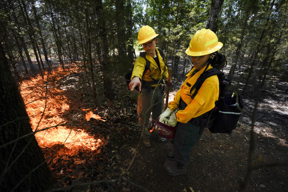 Instructor Ben McLane, left, helps teach Kerstin Joseph, right, as they start a prescribed fire during a wildland firefighter training Friday, June 9, 2023, in Hazel Green, Ala. A partnership between the U.S. Forest Service and four historically Black colleges and universities is opening the eyes of students of color who had never pictured themselves as fighting forest fires. (AP Photo/George Walker IV)