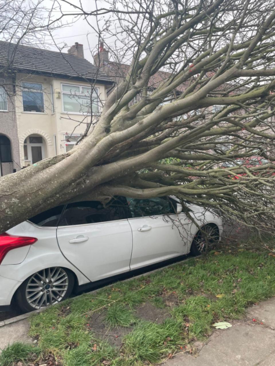 A fallen tree on car in Wallasey Village, Wirrall (PA)