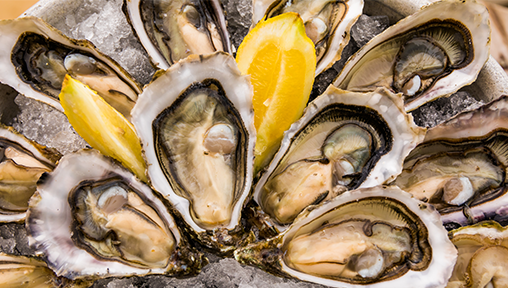 5 Great Places to Have Oysters in Singapore