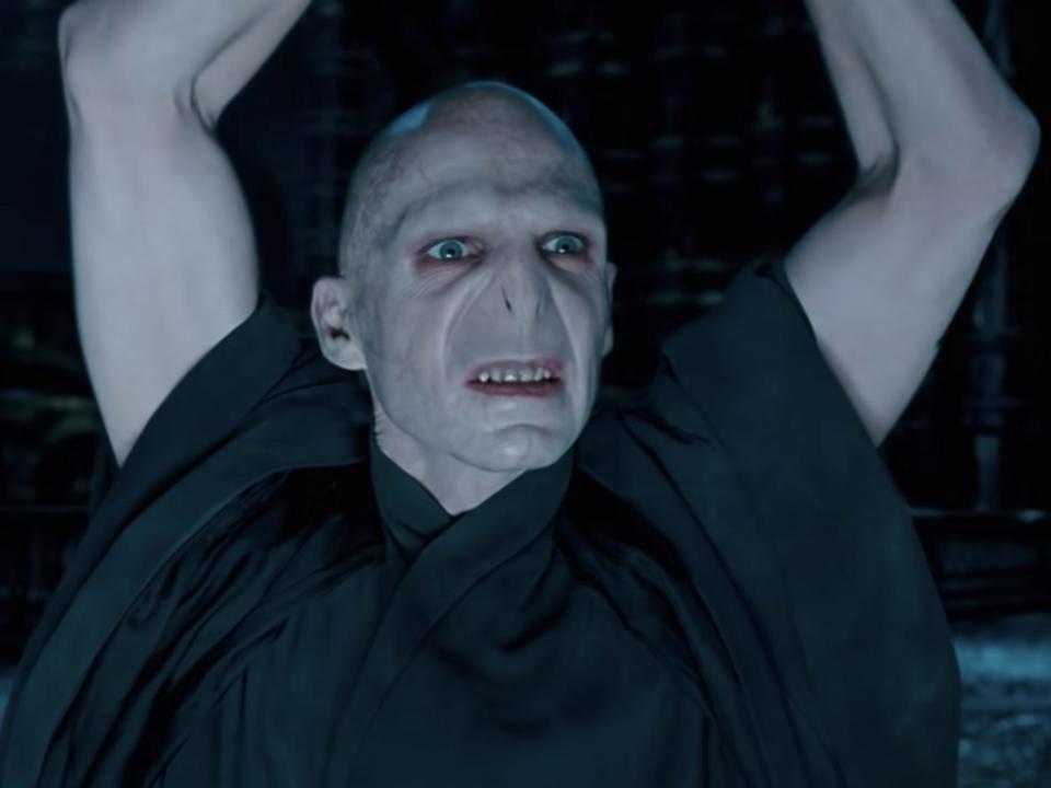 voldemort arm flex harry potter