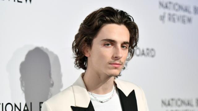 Timothée Chalamet Will Sing As Bob Dylan in Biopic