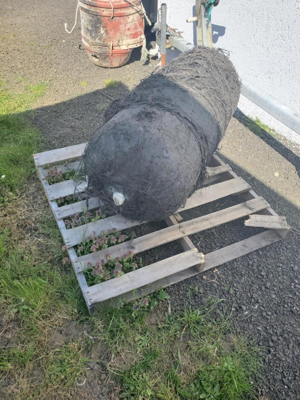 Possible SpaceX debris washed ashore in Alsea Bay on Friday, April 9, 2021.