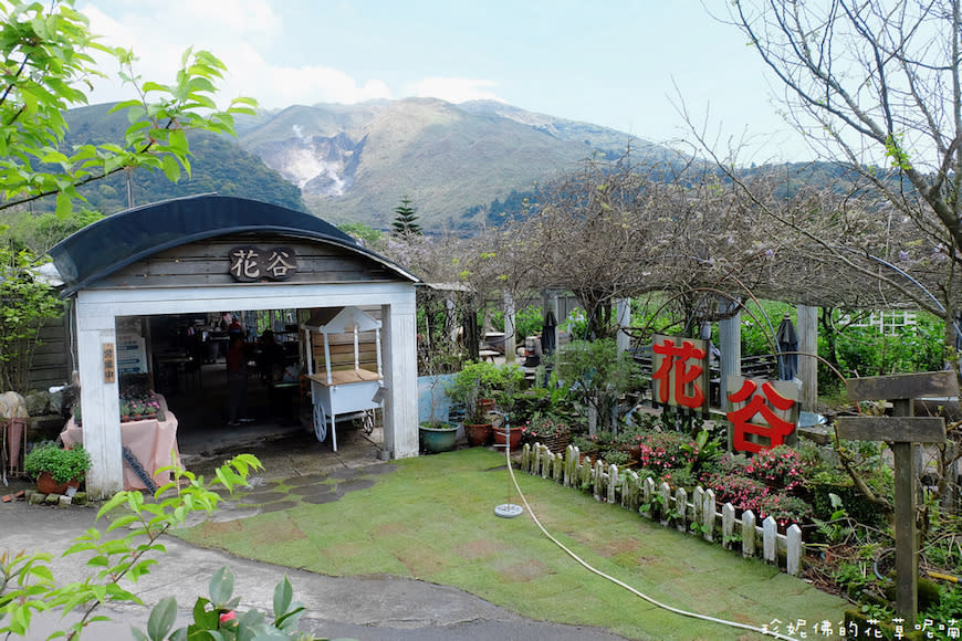 陽明山｜頂湖環狀步道、花谷海芋園