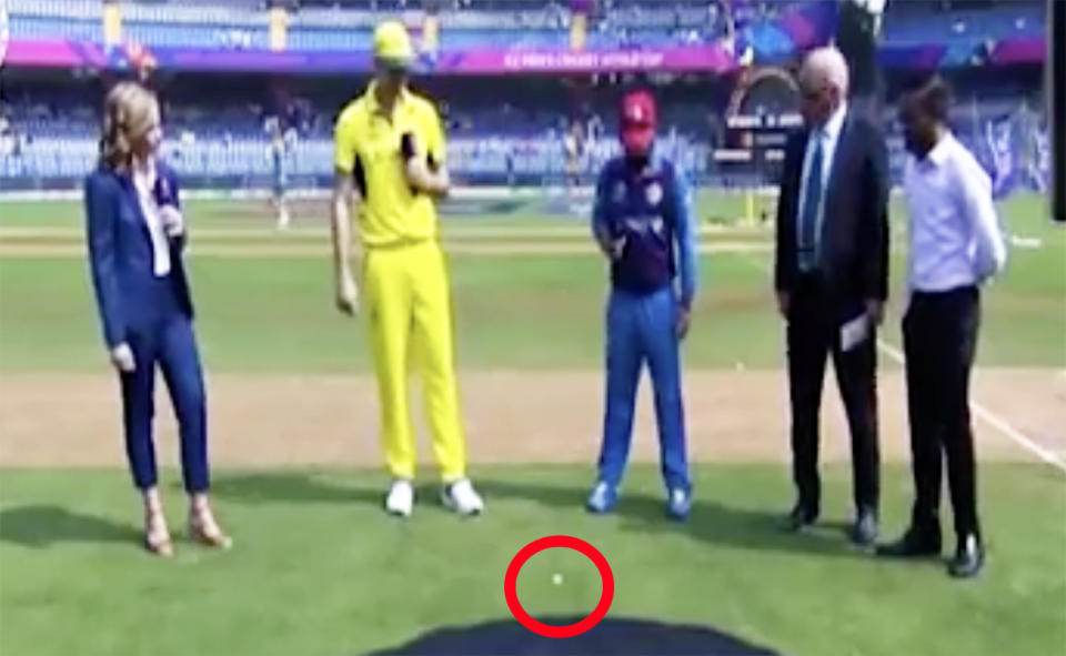 Pat Cummins tosses the coin before Australia's clash with Afghanistan.