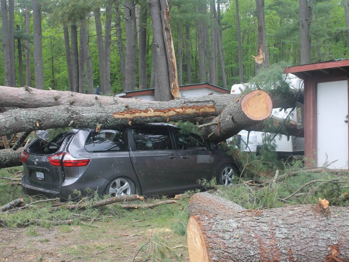 A vehicle remains stuck under a tree at Brown's Park campground in Cloyne, Ont. (Kim Brown/Submitted by Lisa Martin - image credit)