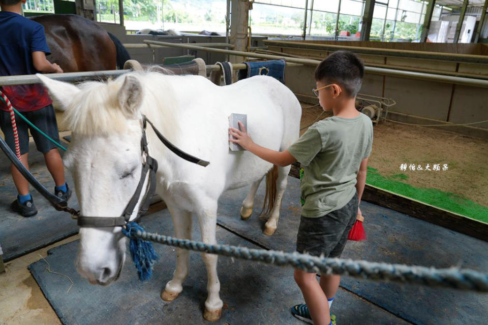 新竹尼普頓馬術創藝園區